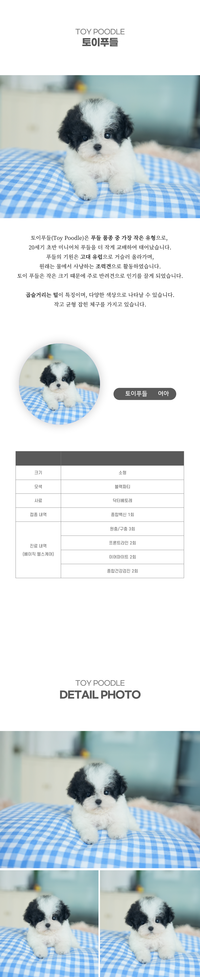 토이푸들_상세이미지_2